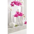 Vase Plancio in Weiß aus Glas - Weiß, MODERN, Keramik (33cm) - MÖMAX modern living
