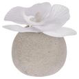 Orchidee Ines Weiß - Weiß, Kunststoff (9cm)