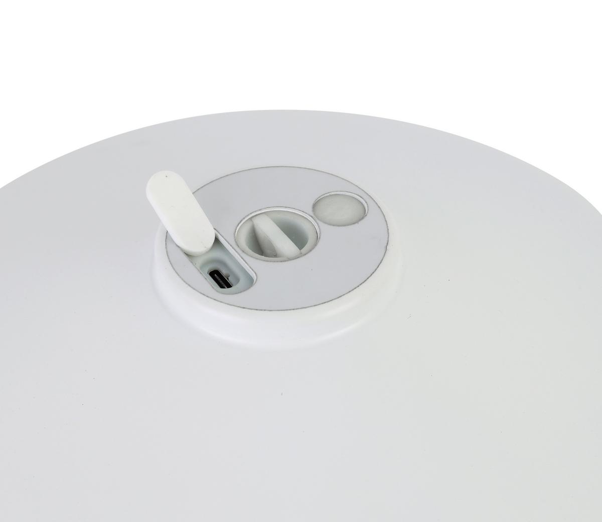 Led Kültéri Lámpa Multi - fehér, Romantik / Landhaus, műanyag/fém (22/36,6cm) - Modern Living