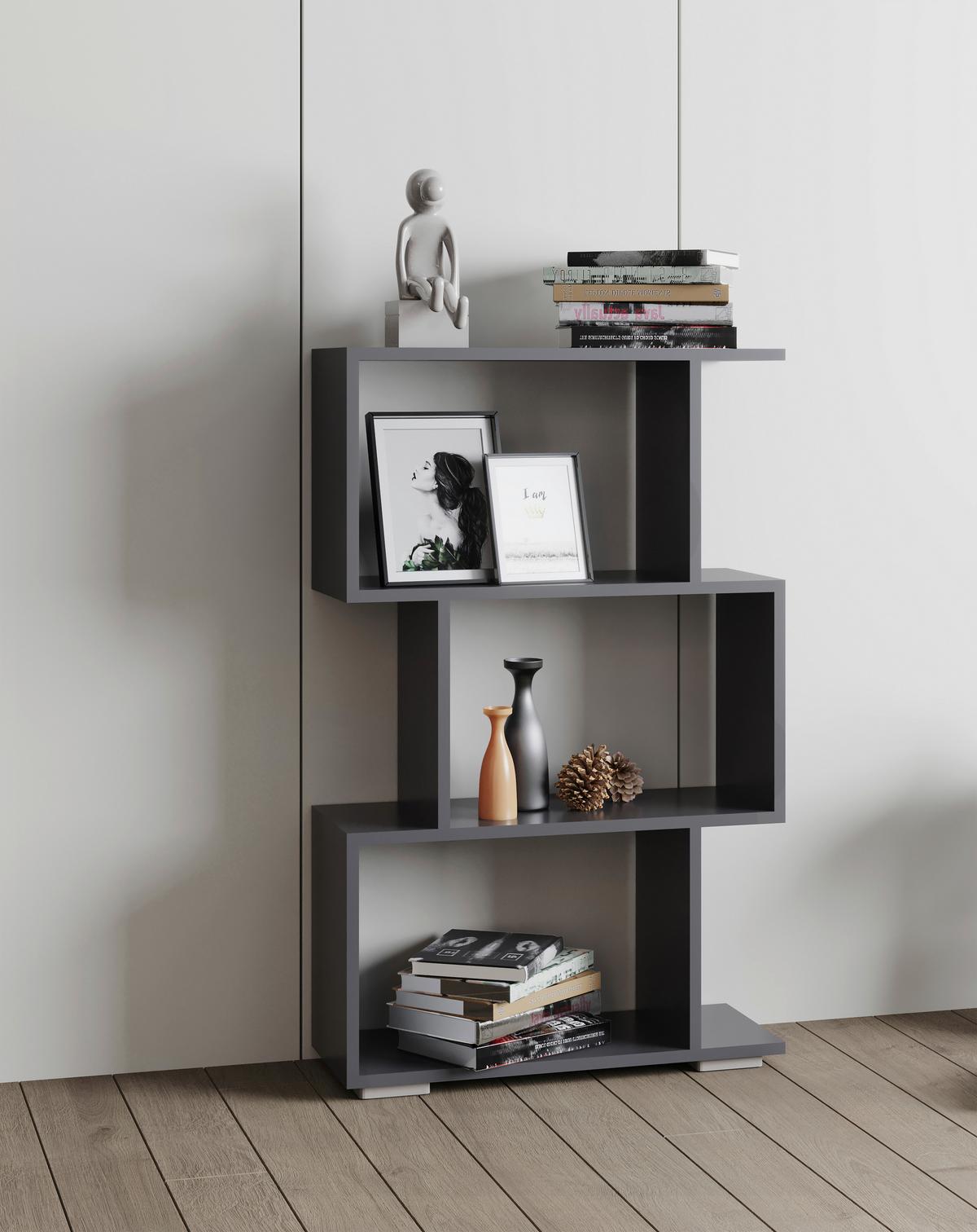 REGAL PALUSA M - Anthrazit/Silberfarben, Design, Holzwerkstoff/Kunststoff (60/97/24cm) - MID.YOU