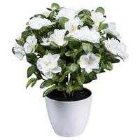 Kunstpflanze Azaleenbusch I in Weiss - Weiss/Grün, Konventionell, Kunststoff (32cm) - Modern Living