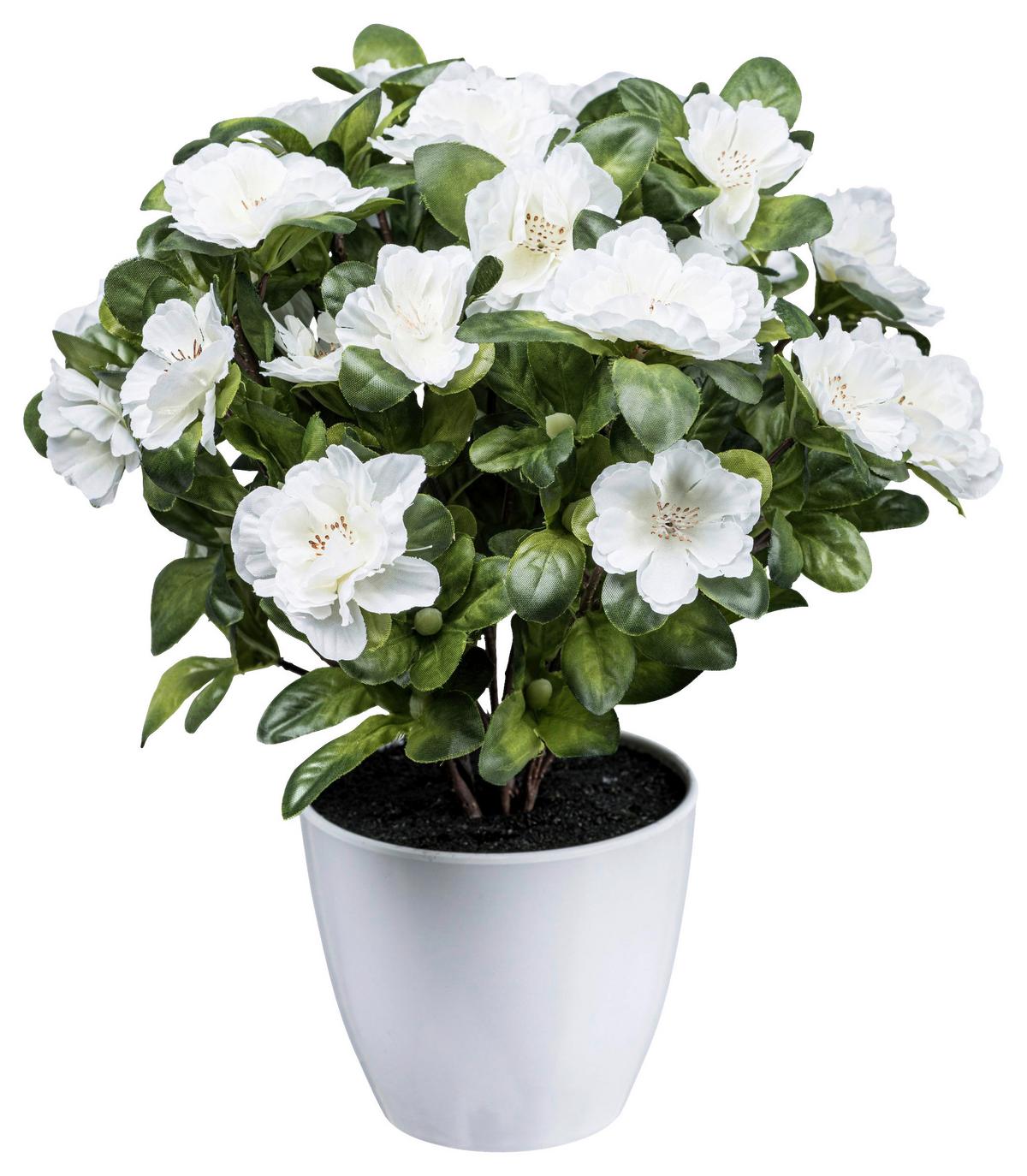 Kunstpflanze Azaleenbusch I in Weiss - Weiss/Grün, Konventionell, Kunststoff (32cm) - Modern Living