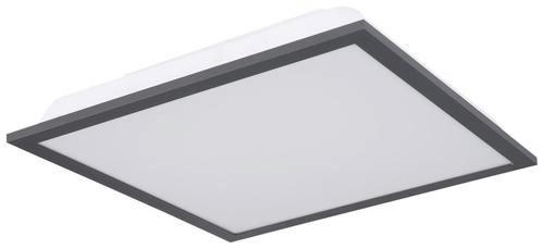 LED-Deckenleuchte Doro max. 12 Watt - Opal/Graphitfarben, Basics, Kunststoff/Metall (30/30/6cm) - Globo