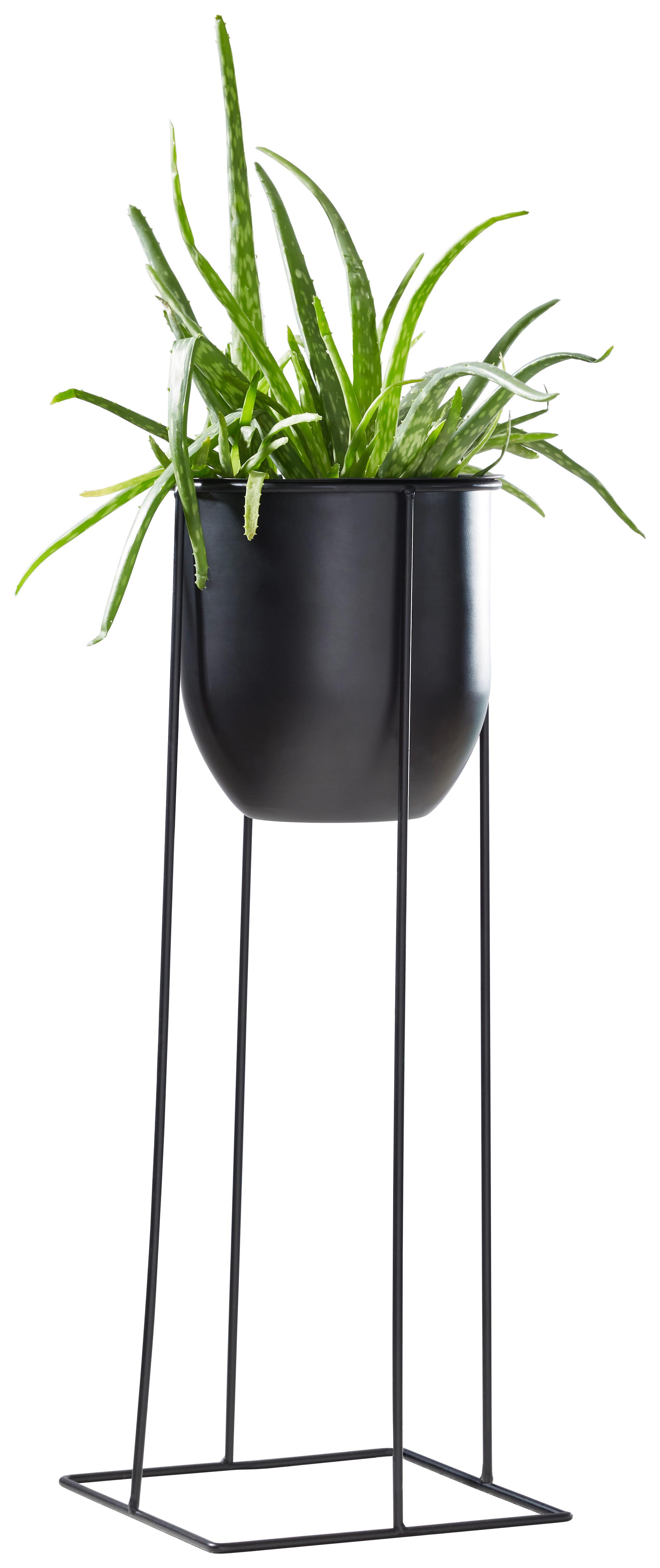 DONICZKA NA KWIATY GM21-170401 - czarny, Basics, metal (19/50cm) - Ambia Home