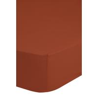 SPANNLEINTUCH EASY CARE - Terracotta, Basics, Textil (160/200cm) - MID.YOU