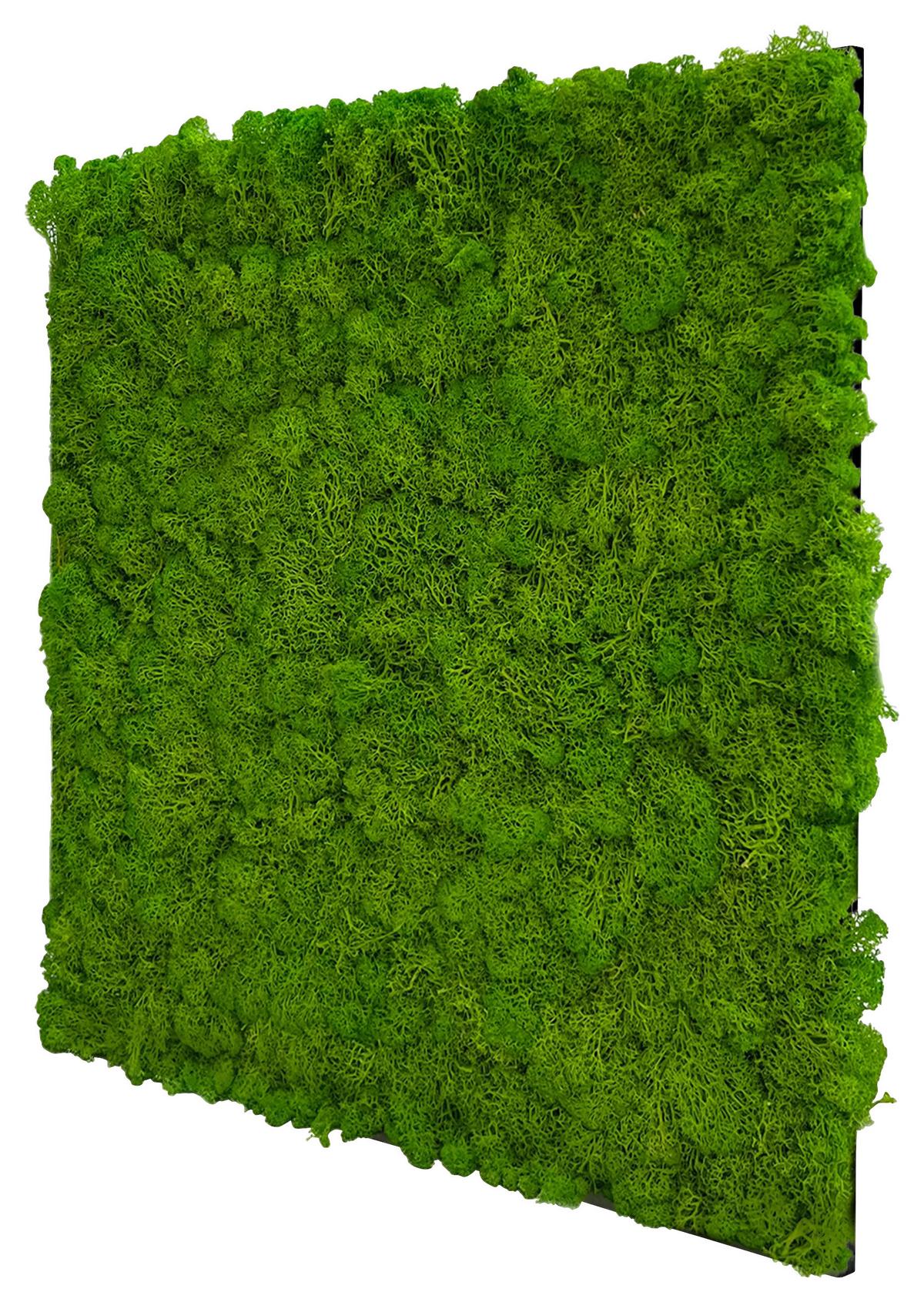 PANEL AKUSTYCZNY 11102 BRIGHT GREEN - jasnozielony, Konventionell, materiały naturalne (52/52/4cm) - Jangal