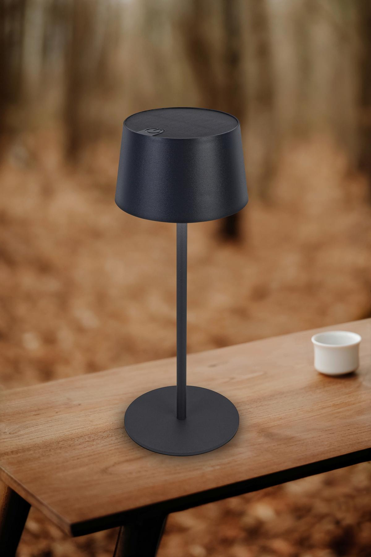 Solarleuchte Zitz Anthrazit max. 1,2 Watt - Anthrazit, KONVENTIONELL, Kunststoff (9/25cm) - Mömax