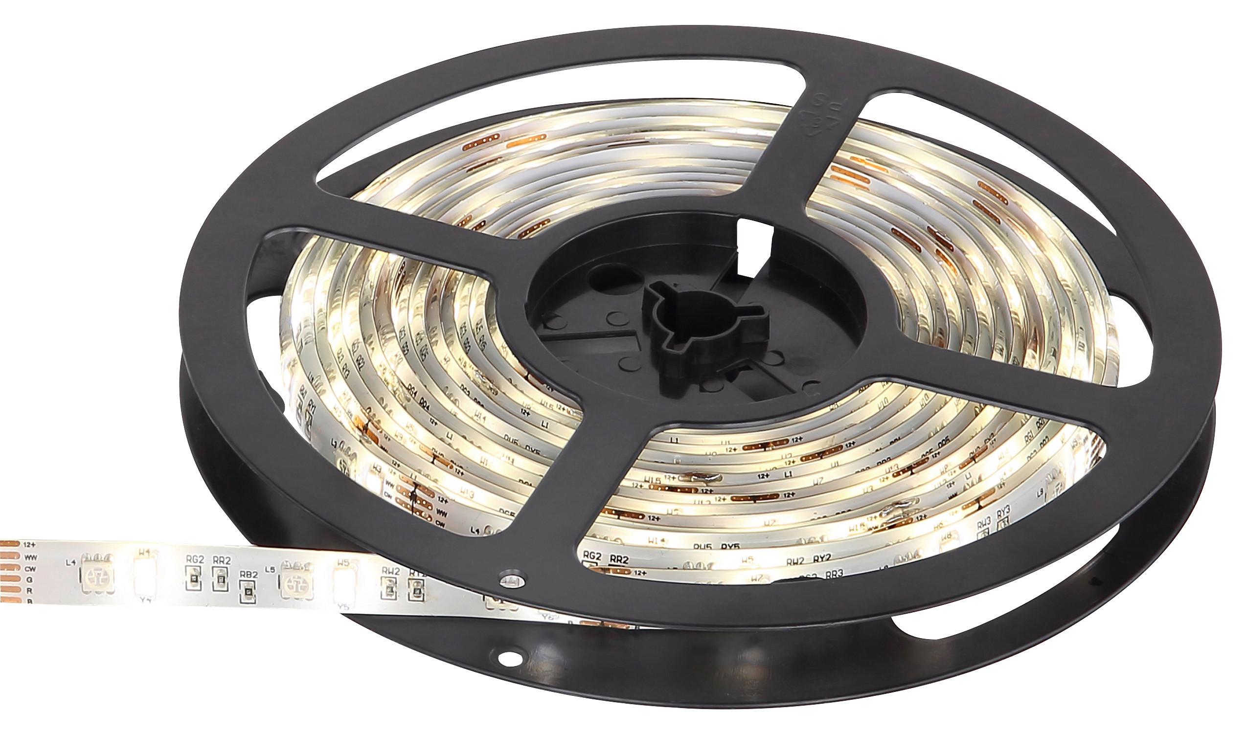 LED-Strip Eduard max. 24 Watt - Basics, Kunststoff (500cm) - Globo
