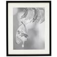 Okvir Za Slike Gitta - črna, Moderno, steklo/les (40/50cm) - Mömax modern living Okvir Za Slike Gitta - črna, Moderno, steklo/les (40/50cm) - Mömax modern living