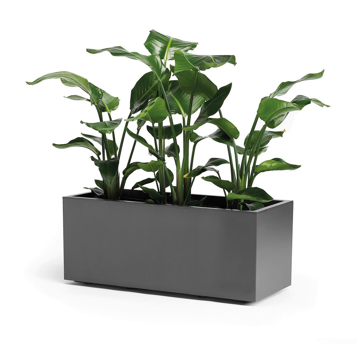 Blumenkasten Anthrazit - Anthrazit, Basics, Kunststoff (99,5/39,5/39,5cm)