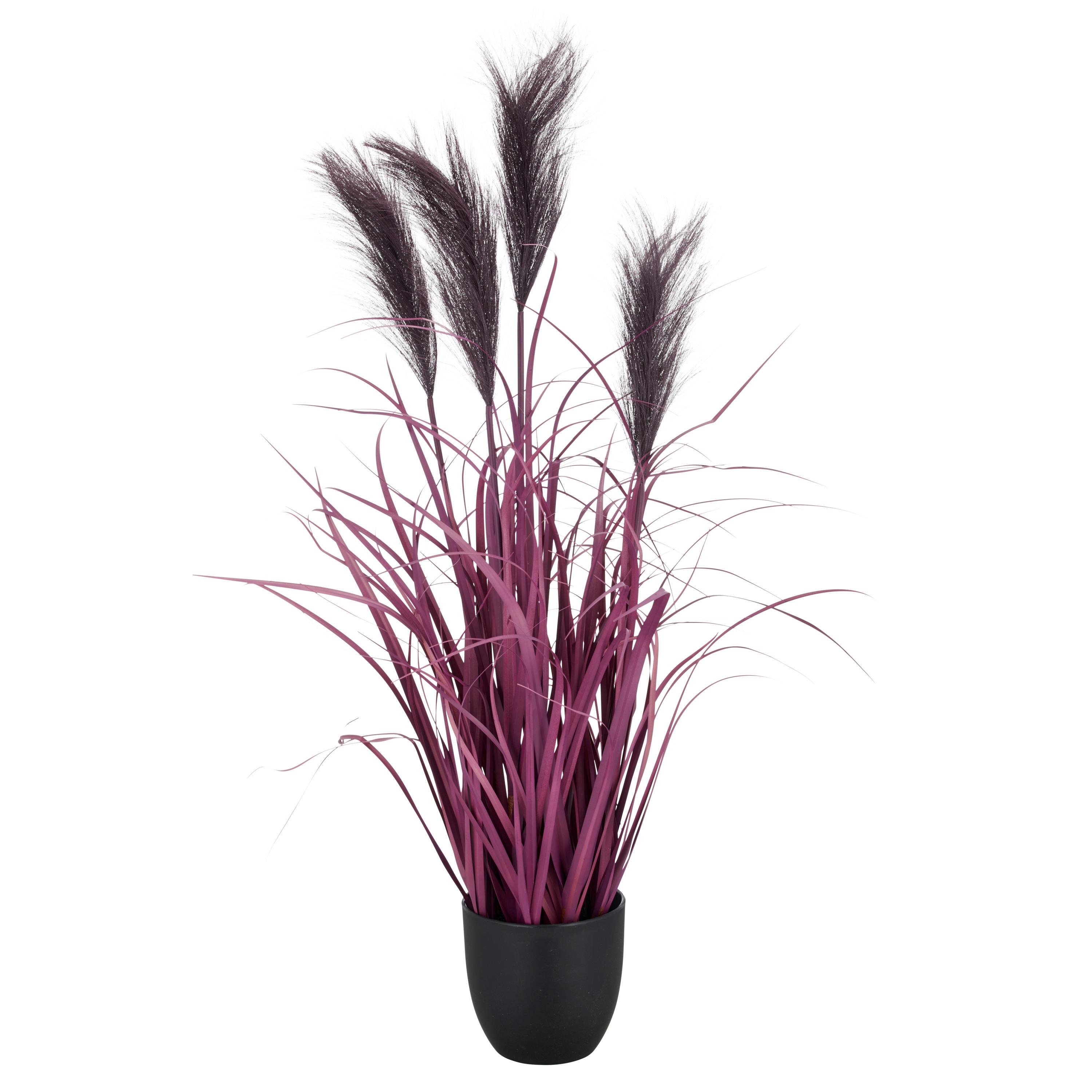 Kunstpflanze Pampasgras I Lila/Schwarz - Lila/Schwarz, Basics, Kunststoff (13,5/80cm) - Mömax