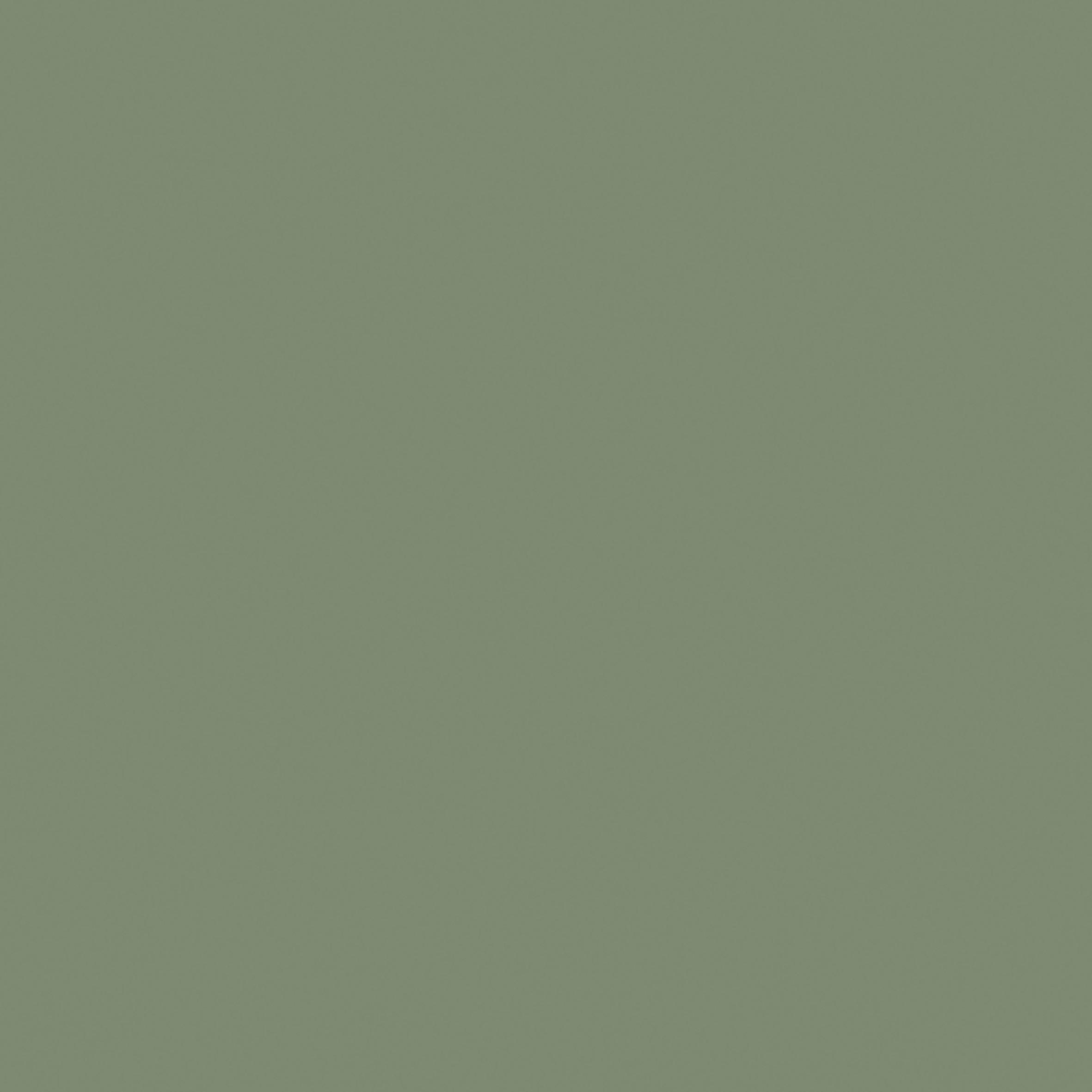 Poliță de perete ANJA -SB- - verde, Modern, material pe bază de lemn (60/3,8/23,5cm) - Modern Living