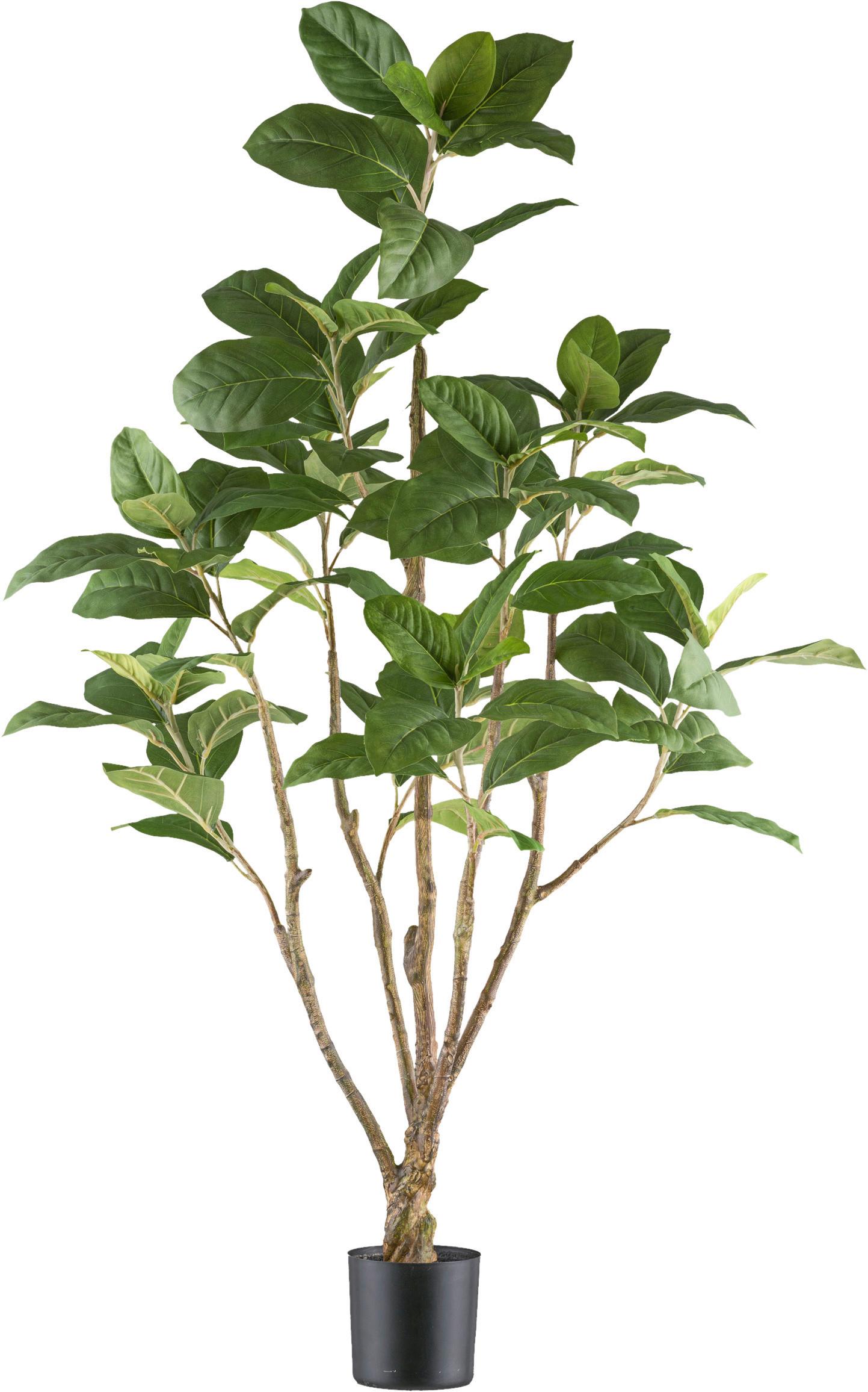 Kunstpflanze Grünpflanzen Grün/Schwarz ca. 115cm - Schwarz/Braun, Design, Kunststoff (115cm) - P & B