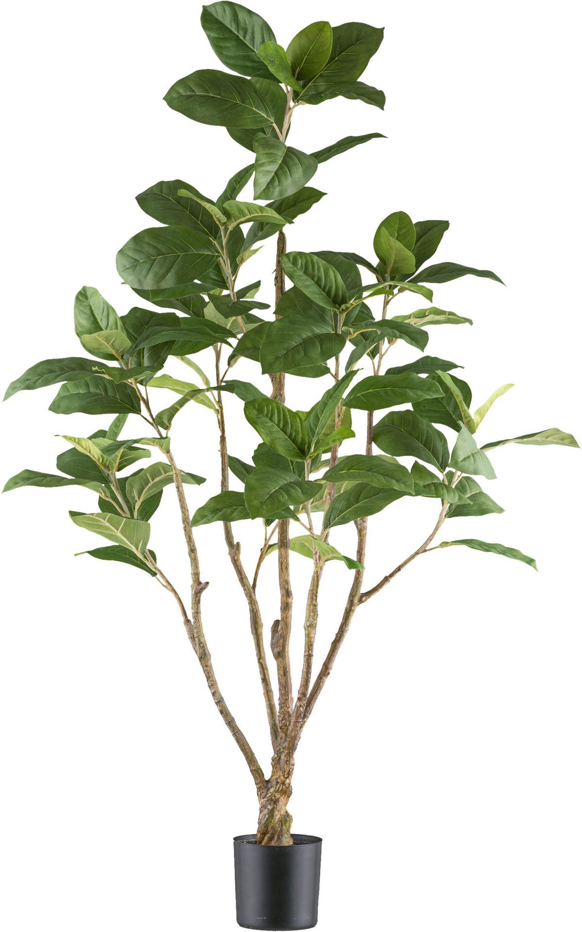 Kunstpflanze Grünpflanzen Grün/Schwarz ca. 115cm - Schwarz/Braun, Design, Kunststoff (115cm) - P & B