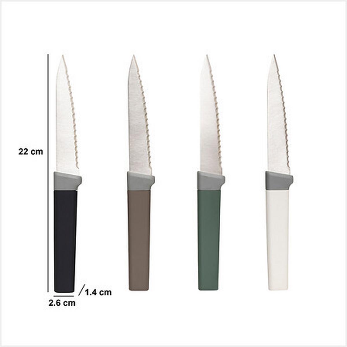 Set cuțite pentru friptură 4 Steak - Basics (2,6/22/1,4cm)