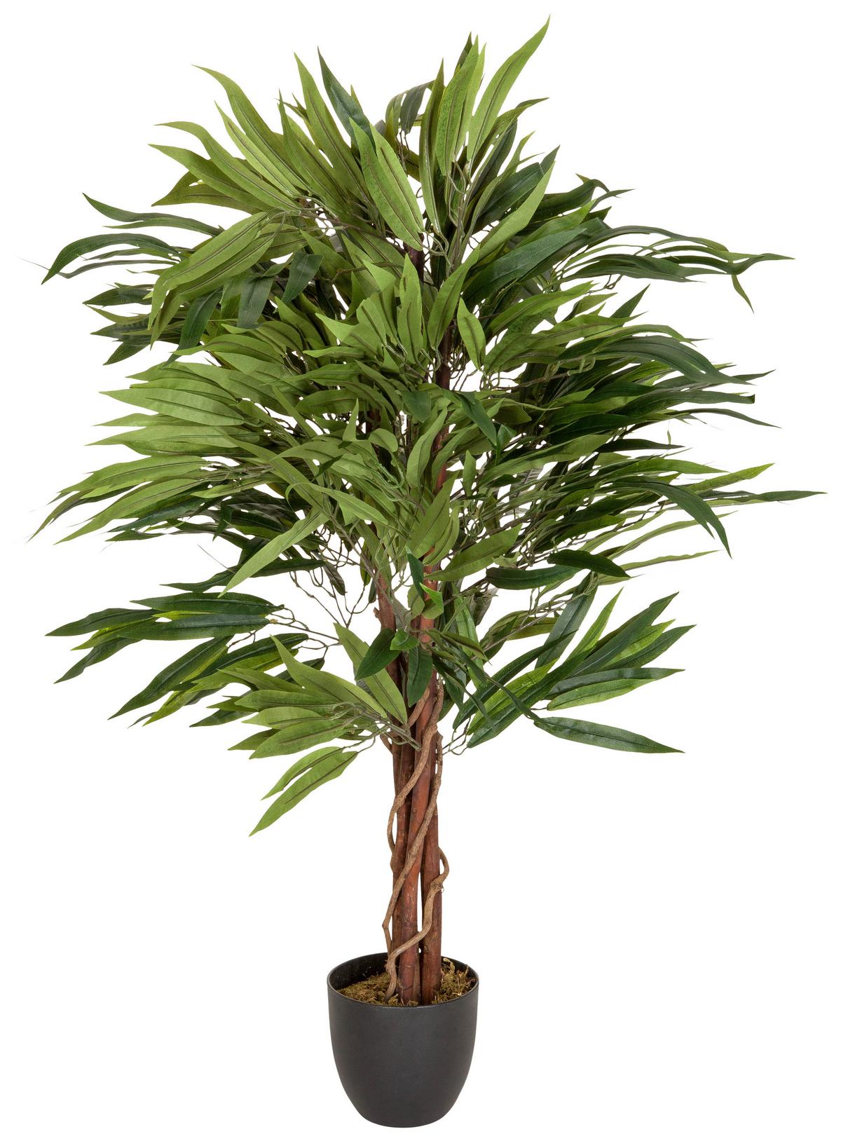 Umetna Rastlina Mango - črna/zelena, Basics, umetna masa (85/130/85cm) - MID.YOU