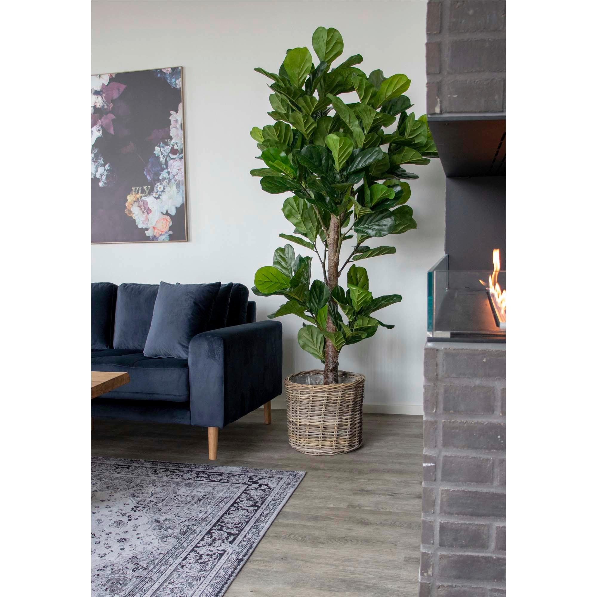 Kunstpflanze Fiddle Leaf Tree Grün - Hellbraun/Schwarz, Basics, Kunststoff (190cm)
