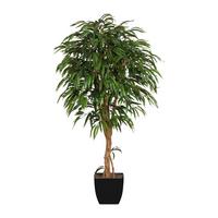 Kunstpflanze Grünpflanzen Grün ca. 180cm - Schwarz/Braun, Design, Naturmaterialien/Kunststoff (180cm) - P & B