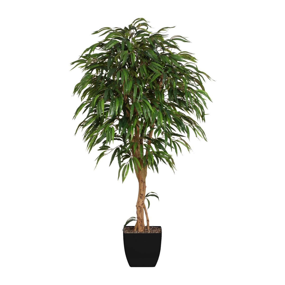 Kunstpflanze Grünpflanzen Grün ca. 180cm - Schwarz/Braun, Design, Naturmaterialien/Kunststoff (180cm) - P & B