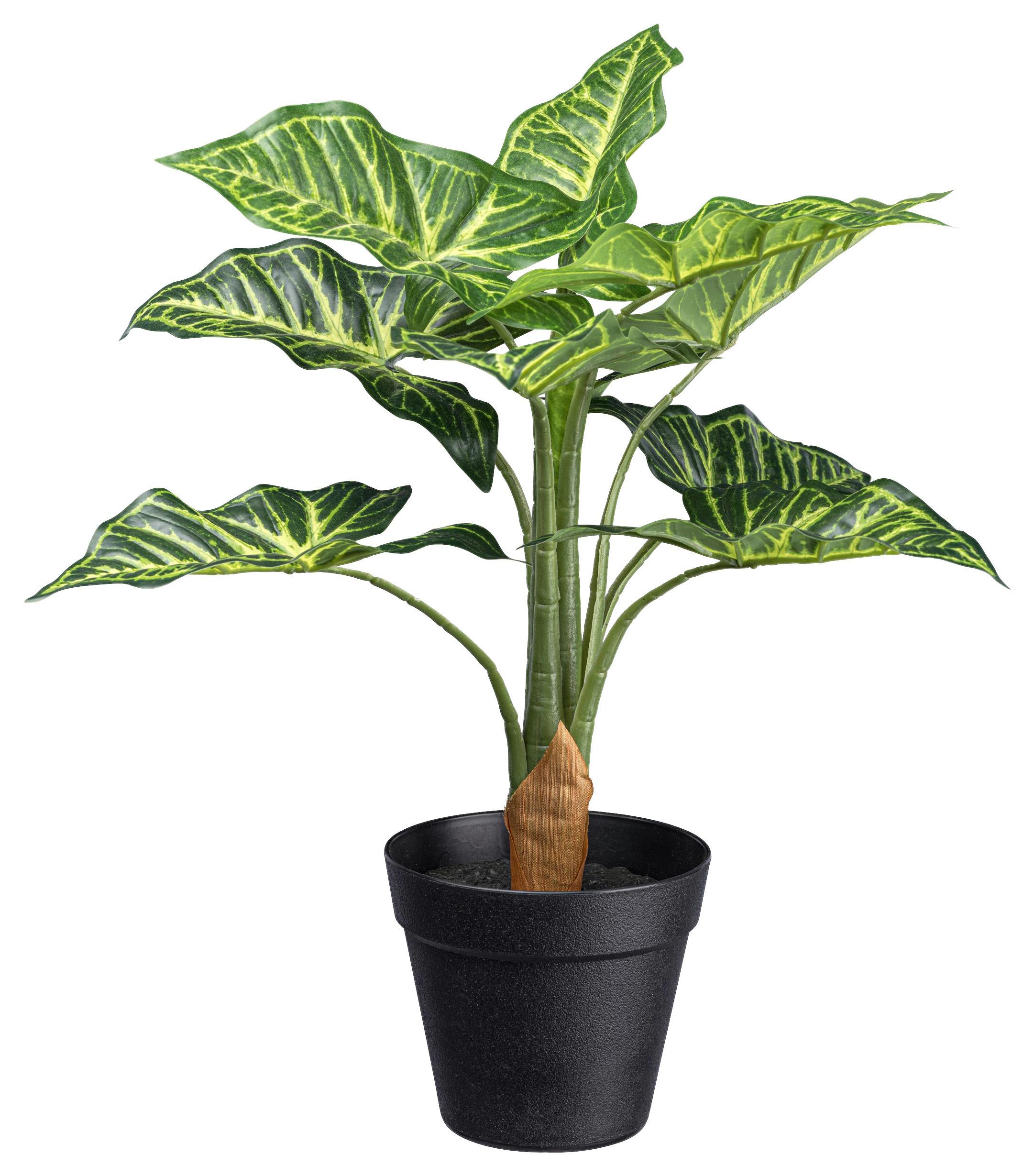 Kunstpflanze Syngonium II in Grün - Schwarz/Grün, Basics, Kunststoff (45cm) - Modern Living