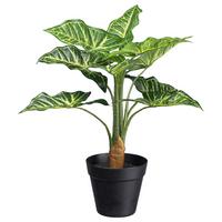 Kunstpflanze Syngonium II in Grün - Schwarz/Grün, Basics, Kunststoff (45cm) - Modern Living