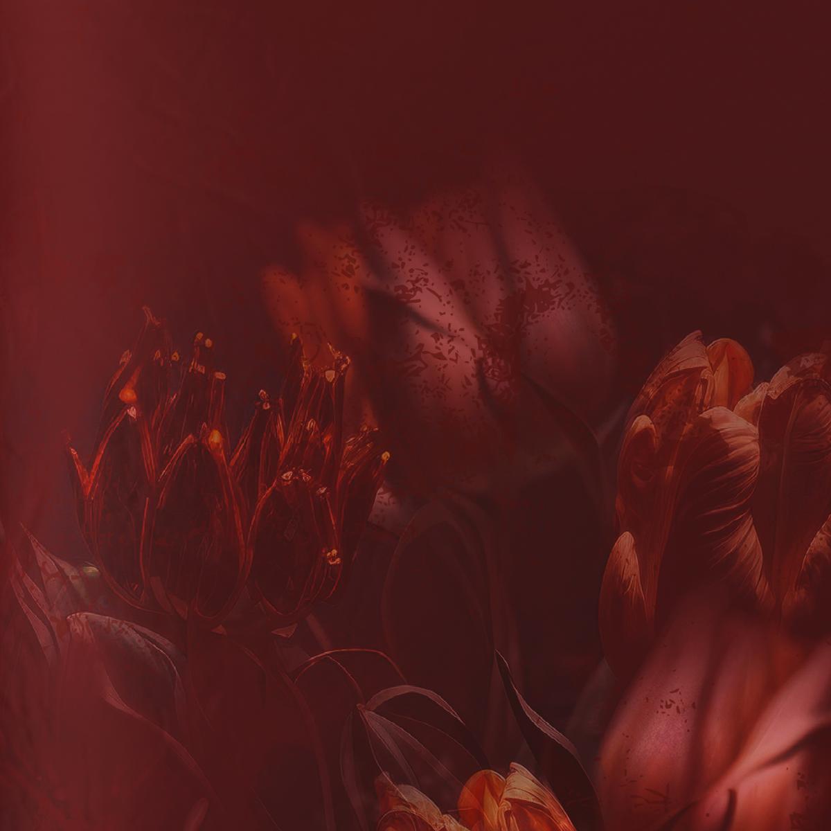 POŚCIEL BURGONJO - ciemnoczerwony, tkanina (135/200cm) - Novel