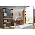 Regal Eichefarben - Eichefarben/Anthrazit, MODERN, Holzwerkstoff/Kunststoff (116,6/199,8/37cm) - PREMIUM LIVING