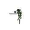 VÄGGHYLLA ZOE -SB- - silver, Lifestyle, glas/plast (50/5,5/15cm) - Mömax