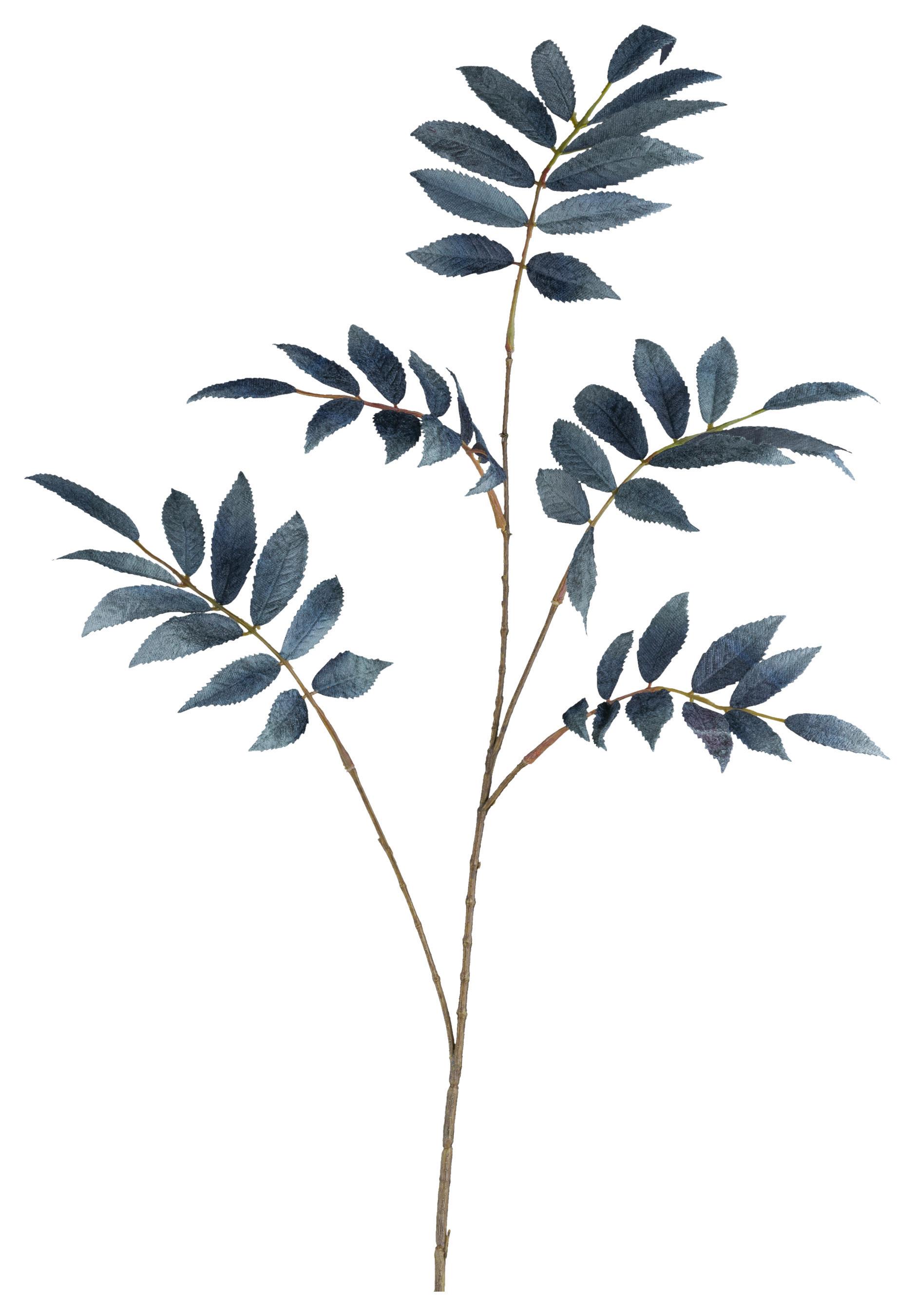 Umetna Rastlina Sorbuszweig I - kraljevo modra/rjava, Basics, umetna masa (82cm) - Mömax