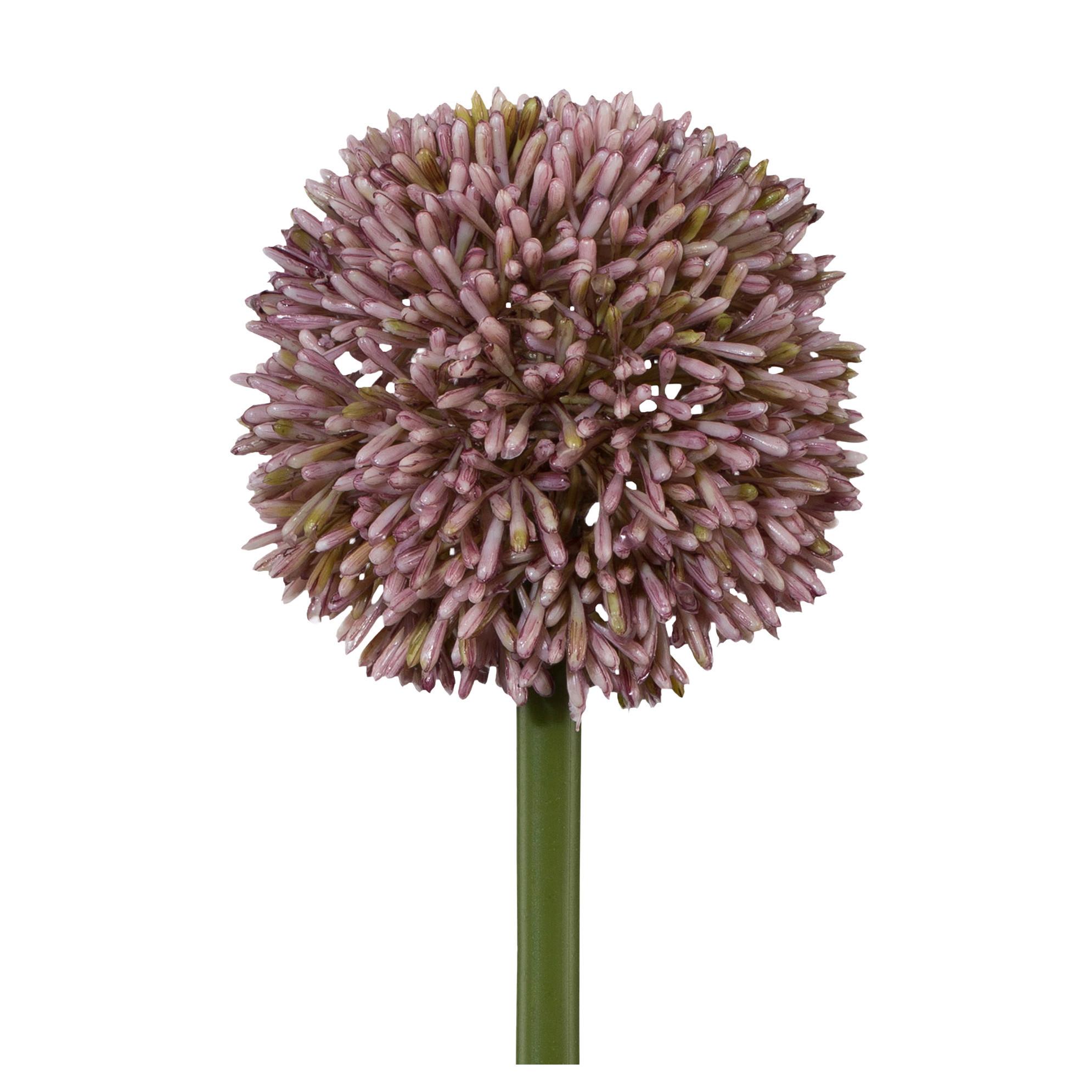 Allium II Flieder/Grün - Flieder/Grün, Basics, Kunststoff/Metall (64cm)