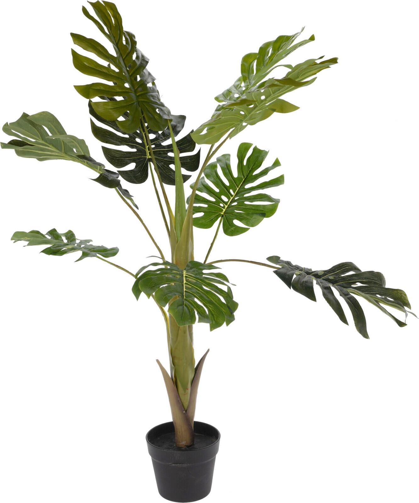 Műnövény Monstera - fekete/zöld, műanyag (110cm)