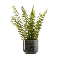 Übertopf Mood in Grau Ø ca. 6,5cm - Grau, Keramik (6,5/6,5cm) - Modern Living