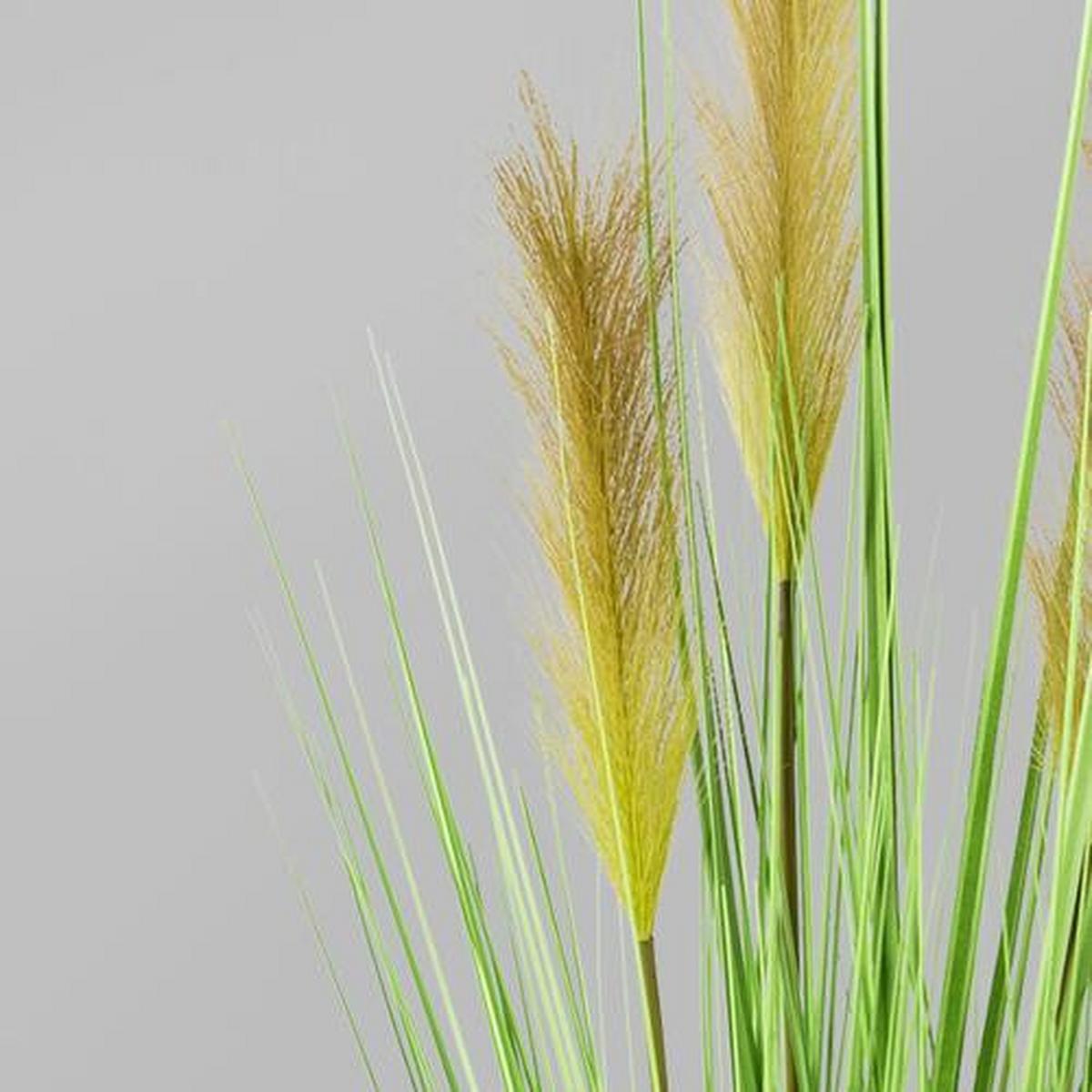 Dekogras Fleur mit Übertopf, ca. 150cm - Grün, MODERN, Kunststoff (150cm) - P & B