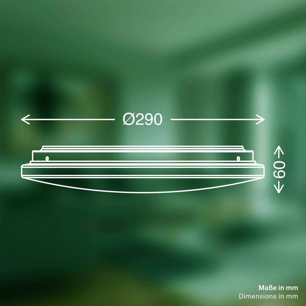 LAMPA SUFITOWA LED 3866016 ELIPSO A - biały, Basics, tworzywo sztuczne (29/6cm)