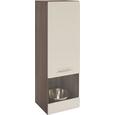 Vitrina Avensis - bela/temno rjava, Moderno (40/123/37cm) - Mömax modern living Vitrina Avensis - bela/temno rjava, Moderno (40/123/37cm) - Mömax modern living