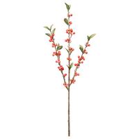 Kunstpflanze Cranberryzweig I Braun/Grün/Orange - Orange/Braun, Basics, Kunststoff (60cm) - Mömax