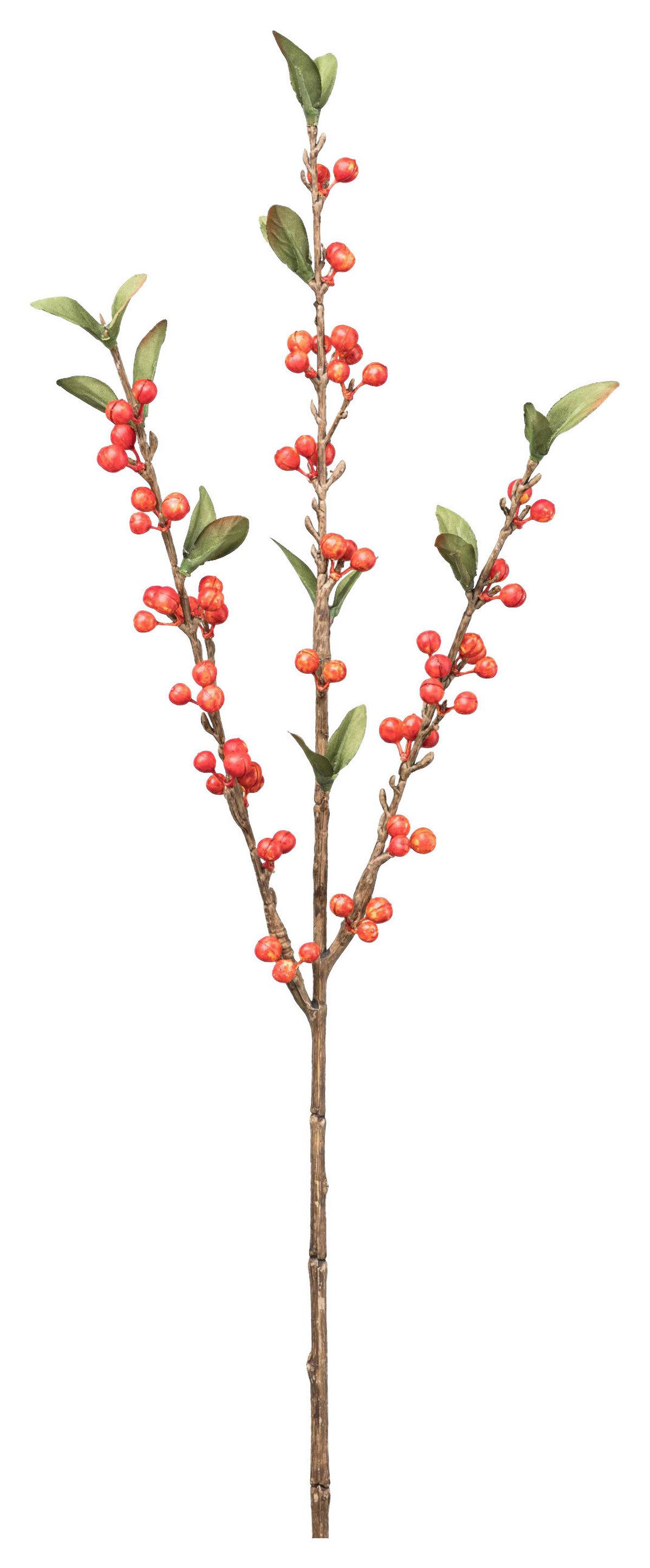 Kunstpflanze Cranberryzweig I Braun/Grün/Orange - Orange/Braun, Basics, Kunststoff (60cm) - Mömax