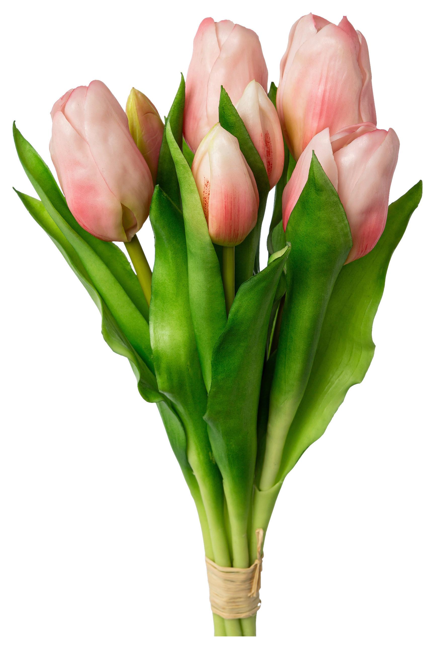 Kunstpflanze Tulpen in Weiß - Rosa/Grün, Basics, Kunststoff (32cm)