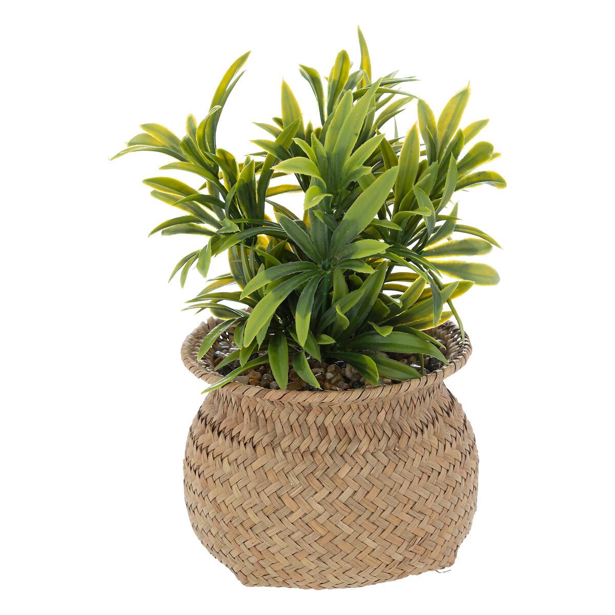 Umetna Roža Jiling Plant - Design (12,5/20cm) - Modern Living
