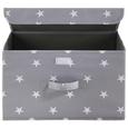 Aufbewahrungsbox Sandy mit Deckel - Weiß/Grau, MODERN, Kunststoff (40/25/25cm) - Mömax modern living