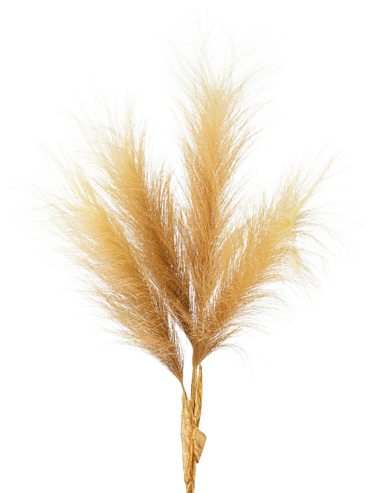 Műnövény Pampas - natúr, Modern, műanyag (107cm) - Modern Living