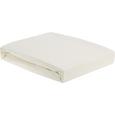 Napenjalna Rjuha Elasthan Topper - bež, tekstil (160/200/15cm) - Premium Living Napenjalna Rjuha Elasthan Topper - bež, tekstil (160/200/15cm) - Premium Living