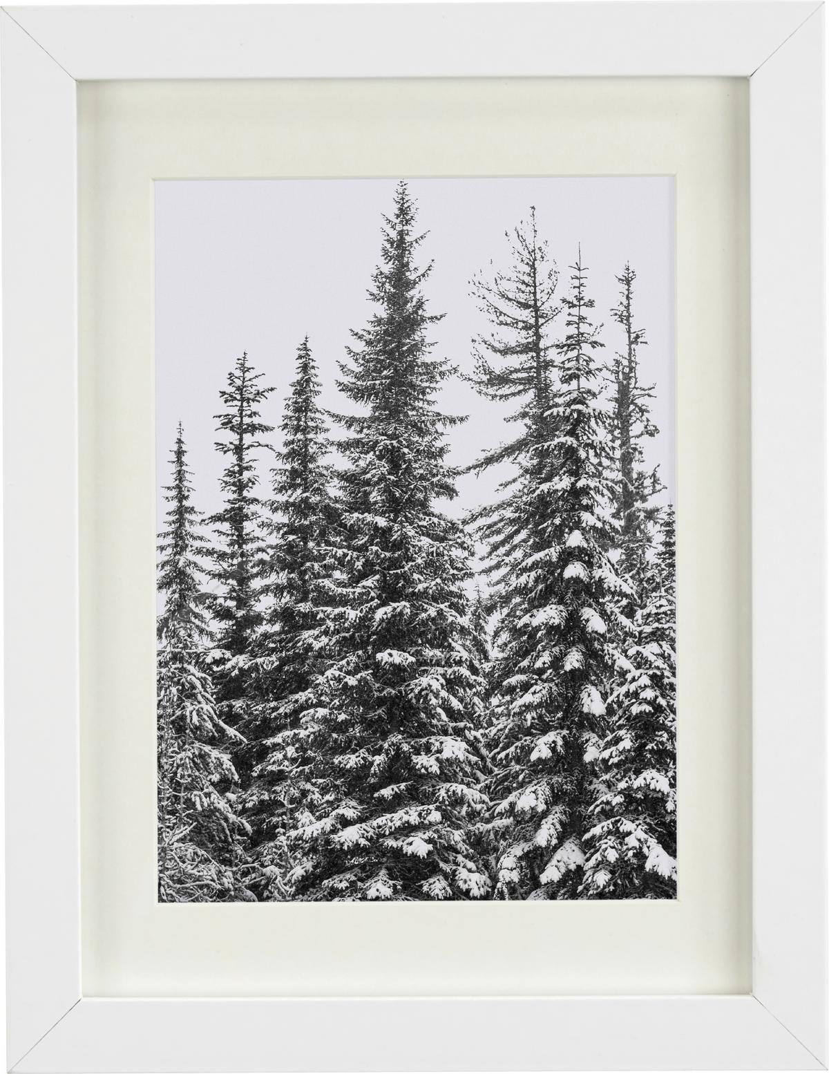 Okvir Za Slike Gitta - bela, Moderno, umetna masa/leseni material (50/70cm) - Modern Living
