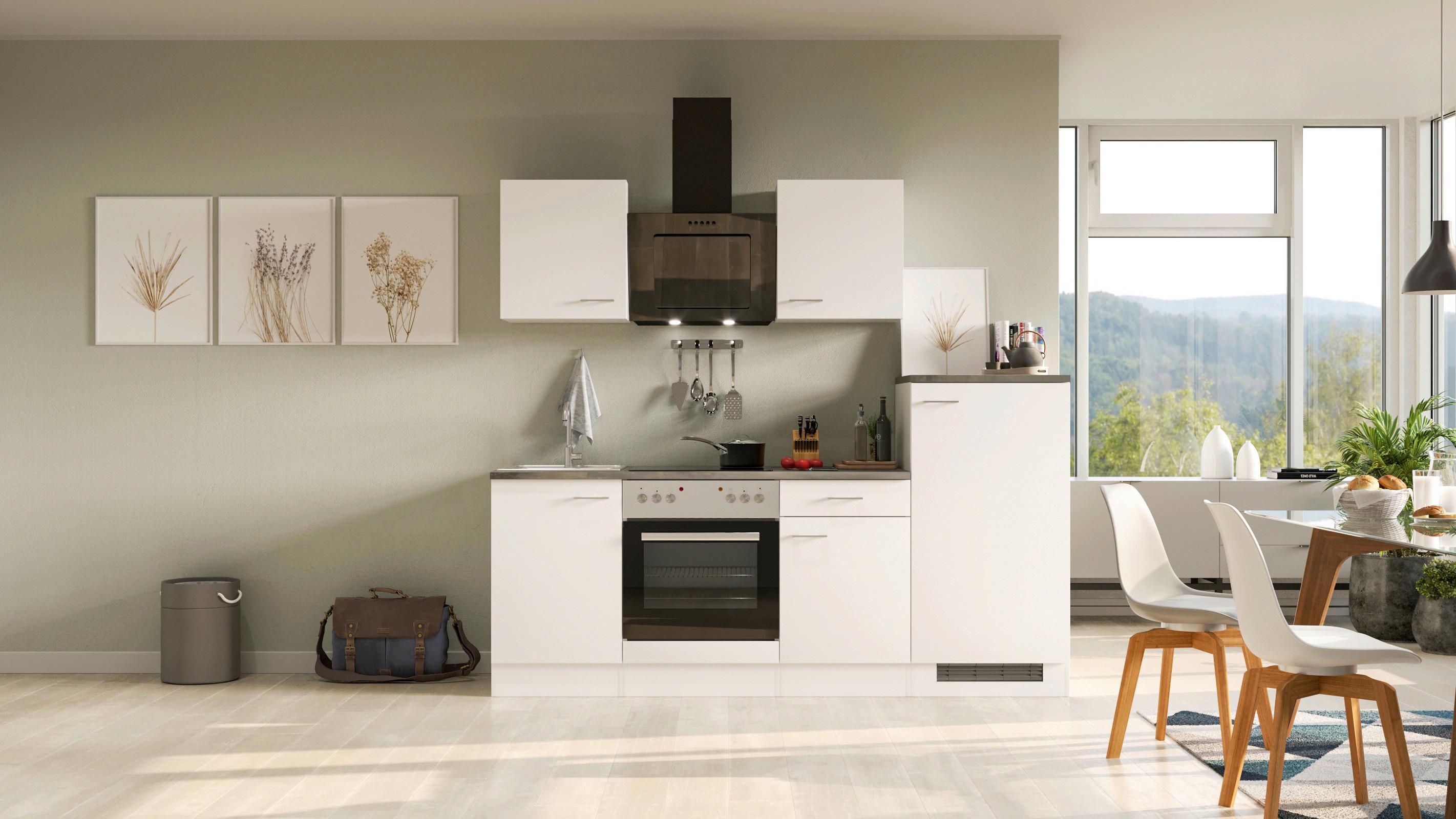 Kuhinjski Blok Z Aparati Lucca, Bela - bela/barve aluminija, Moderno, umetna masa/leseni material (220,5cm) - FlexWell