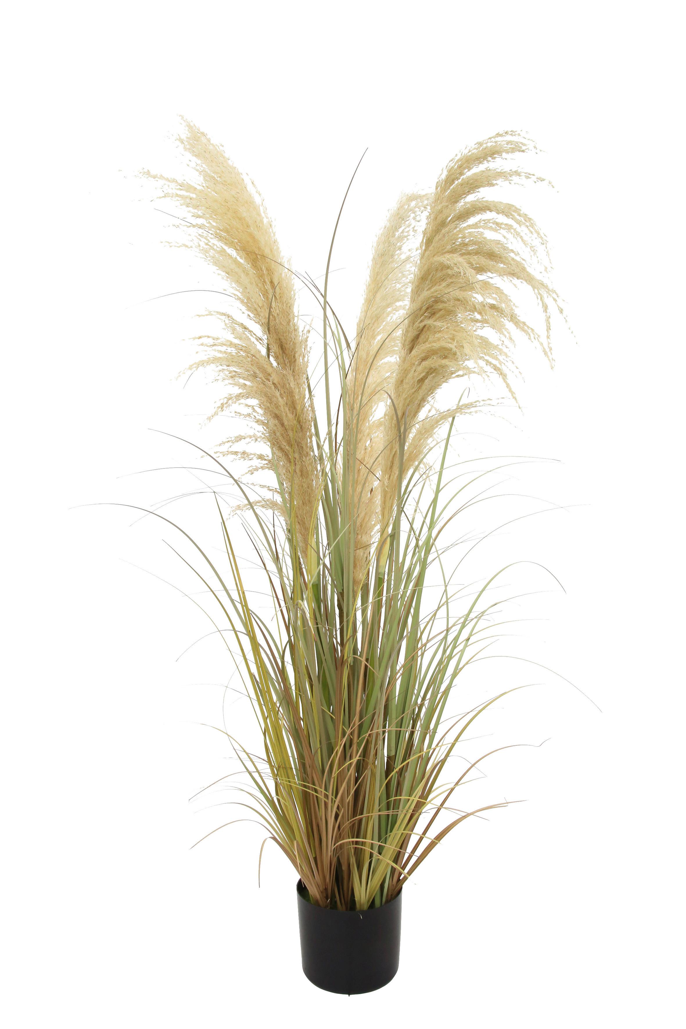 TRAWA DEKORACYJNA B0201-LBR-BEG5 - brązowy, Natur, tworzywo sztuczne/metal (120cm) - Ambia Home