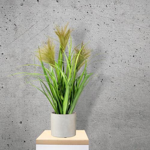 Schilfgras Grün Kunststoff H: ca. 9,5cm - Schwarz/Grün, Basics, Kunststoff (60cm) - P & B
