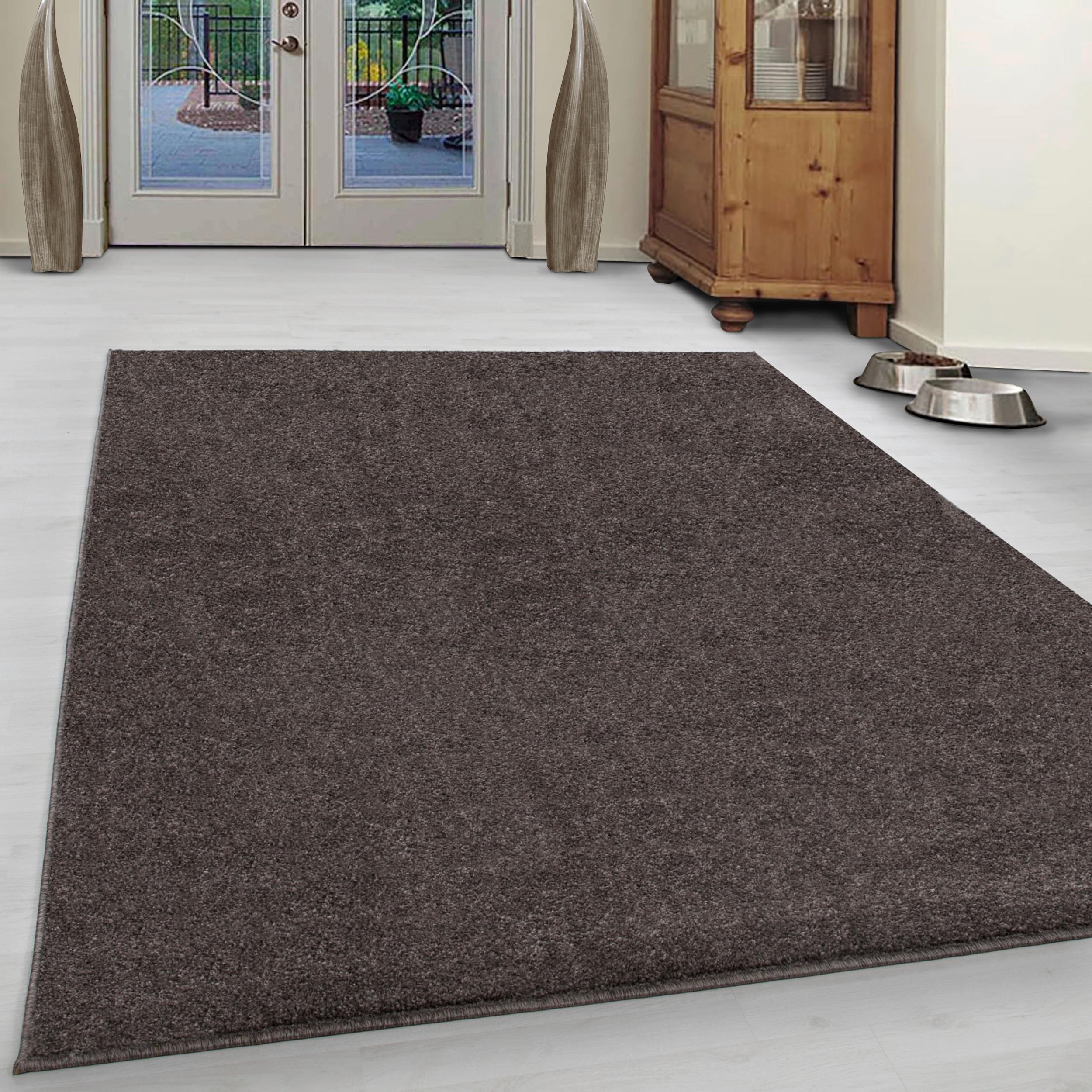 Preproga Z Visokim Florom Ata, Svetlo Rjava, 280x370cm - svetlo rjava, Design, tekstil (280/370cm) - Novel
