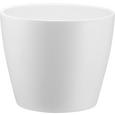 Blumentopf Luisa Verschiedenen Farben - Rosa/Weiß, MODERN, Keramik (15/12cm) - Mömax modern living Blumentopf Luisa Verschiedenen Farben - Rosa/Weiß, MODERN, Keramik (15/12cm) - Mömax modern living