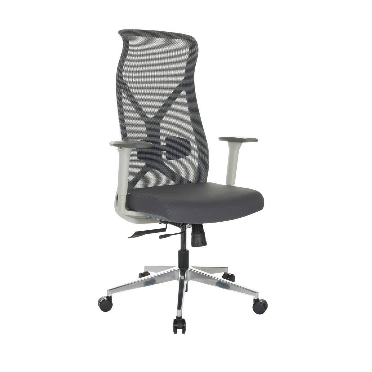 Pisarniški Stol Azurro W, Siva - srebrne barve/črna, Basics, kovina/umetna masa (69/119-128/60cm) - MID.YOU