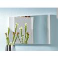 Wandspiegel ca. 96x50x3,5cm - MODERN, Glas (96/50/3.5cm) - PREMIUM LIVING